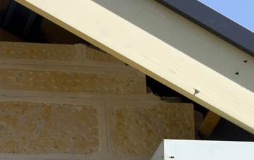 soffit repair Laisterdyke