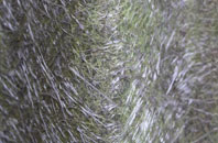 Laisterdyke fibreglass roof work